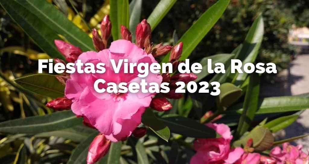 programa fiestas virgen de la rosa casetas 2023
